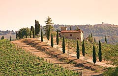 Agriturismi Chianti